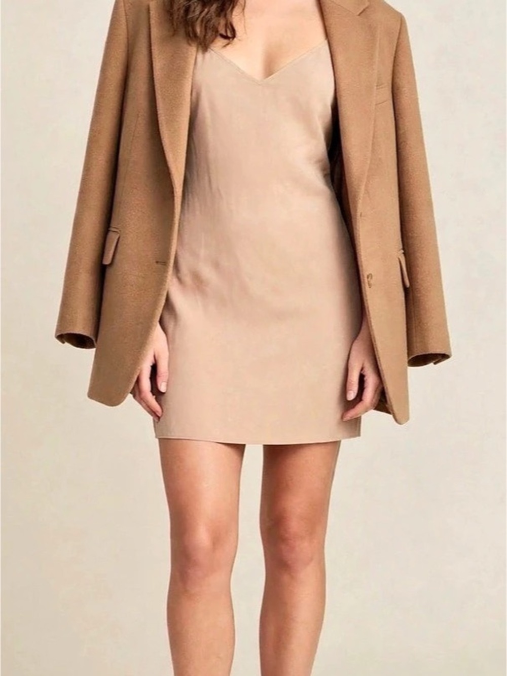 Nadine Merabi Slip Mini Dress in ligh Brown NWT